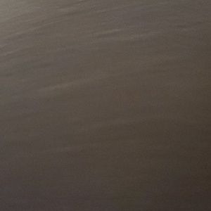 Meet your Posher, Will